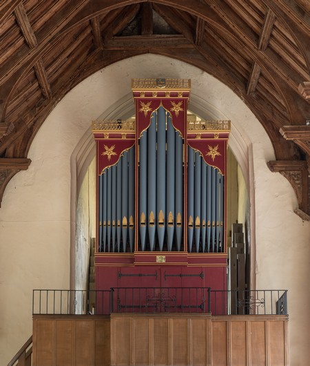 organ